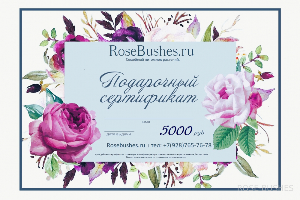 ���������� ���������� �� 5000�